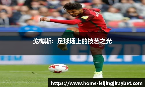戈梅斯：足球场上的技艺之光